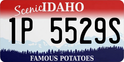 ID license plate 1P5529S