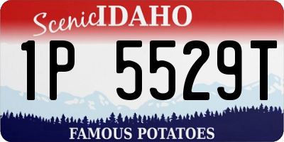 ID license plate 1P5529T