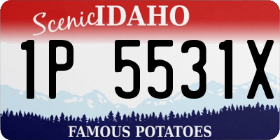 ID license plate 1P5531X