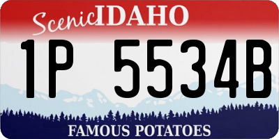 ID license plate 1P5534B