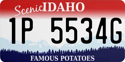 ID license plate 1P5534G
