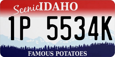 ID license plate 1P5534K