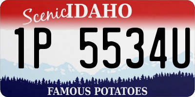 ID license plate 1P5534U
