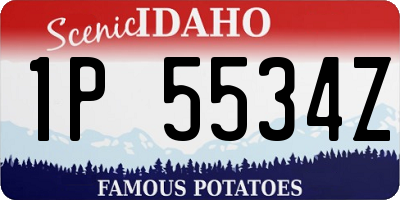 ID license plate 1P5534Z