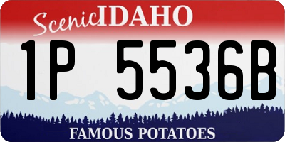 ID license plate 1P5536B