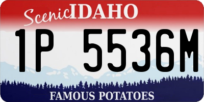 ID license plate 1P5536M