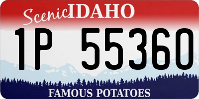 ID license plate 1P5536O