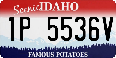 ID license plate 1P5536V
