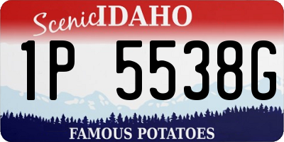 ID license plate 1P5538G