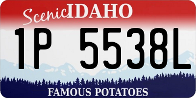ID license plate 1P5538L