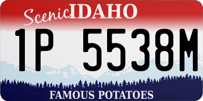 ID license plate 1P5538M