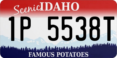 ID license plate 1P5538T