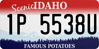 ID license plate 1P5538U