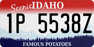 ID license plate 1P5538Z