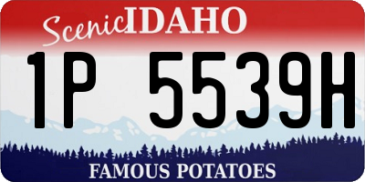 ID license plate 1P5539H