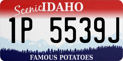 ID license plate 1P5539J