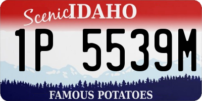 ID license plate 1P5539M