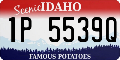 ID license plate 1P5539Q