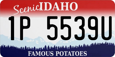 ID license plate 1P5539U
