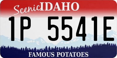 ID license plate 1P5541E