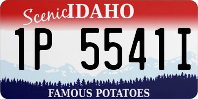 ID license plate 1P5541I