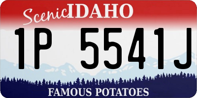 ID license plate 1P5541J