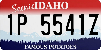ID license plate 1P5541Z