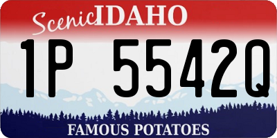 ID license plate 1P5542Q