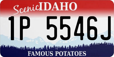 ID license plate 1P5546J
