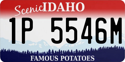 ID license plate 1P5546M