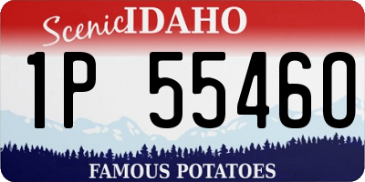 ID license plate 1P5546O