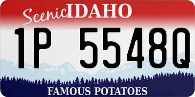 ID license plate 1P5548Q