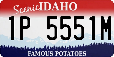 ID license plate 1P5551M