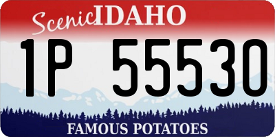 ID license plate 1P5553O