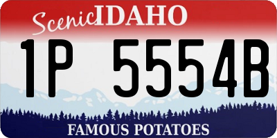 ID license plate 1P5554B