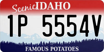ID license plate 1P5554V