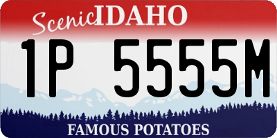 ID license plate 1P5555M