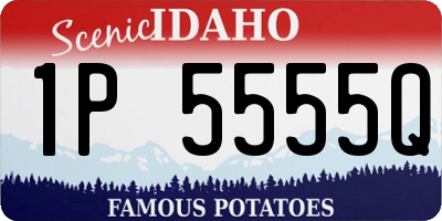 ID license plate 1P5555Q