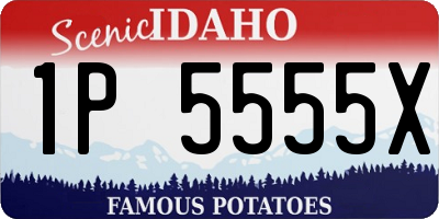 ID license plate 1P5555X