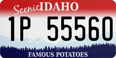 ID license plate 1P5556O
