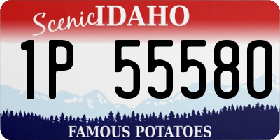ID license plate 1P5558O