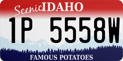 ID license plate 1P5558W