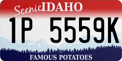 ID license plate 1P5559K