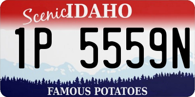 ID license plate 1P5559N