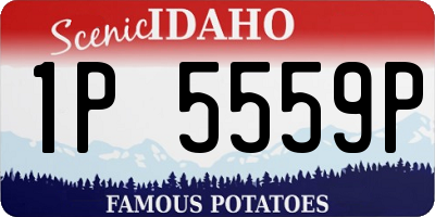 ID license plate 1P5559P