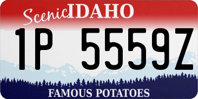 ID license plate 1P5559Z