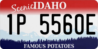 ID license plate 1P5560E