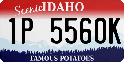 ID license plate 1P5560K