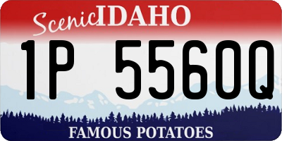 ID license plate 1P5560Q