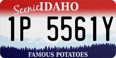 ID license plate 1P5561Y